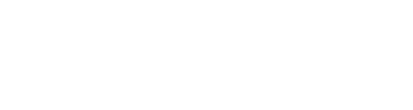 Sistemas del Sur (logo blanco)